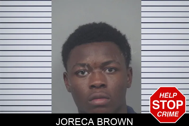 Joreca Brown mugshot