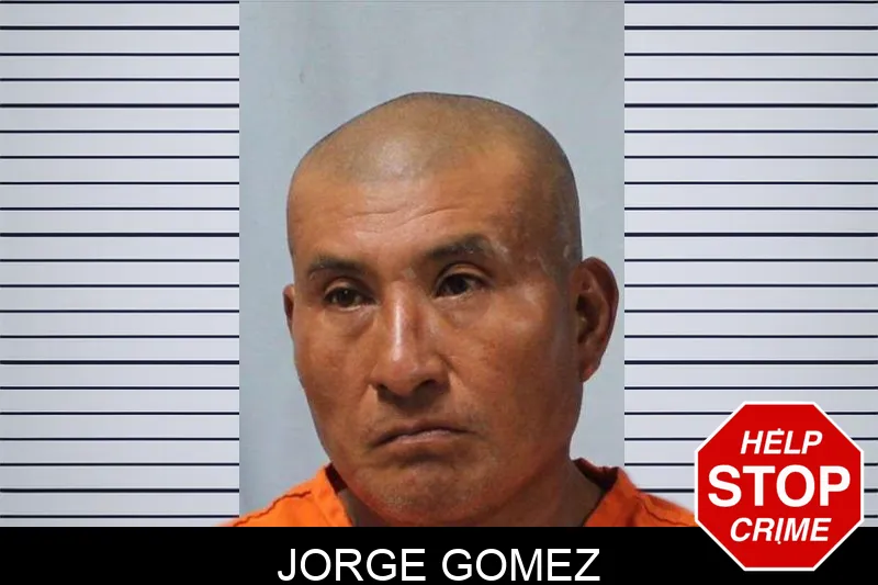 Jorge Gomez Mugshots