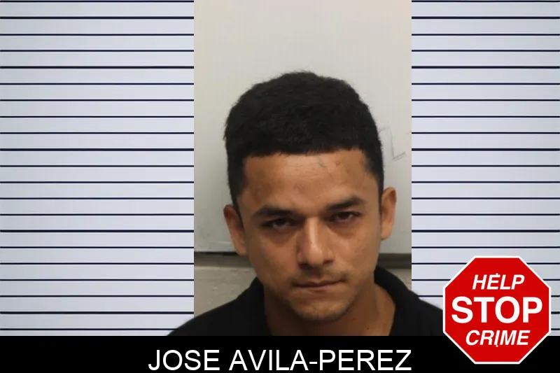 Jose Avila-Perez Mugshots