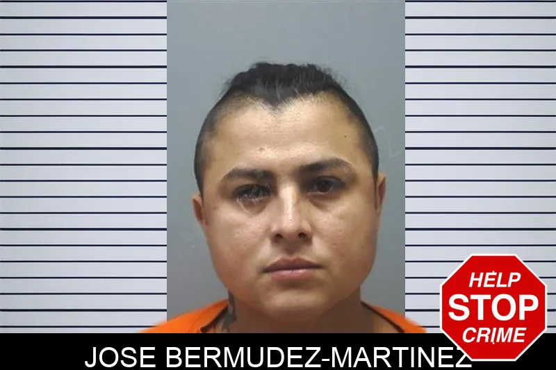 Jose Bermudez-Martinez Mugshots