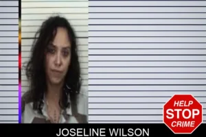 Joseline Wilson mugshot