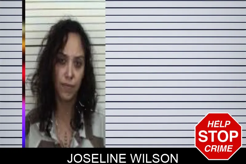 Joseline Wilson Mugshots