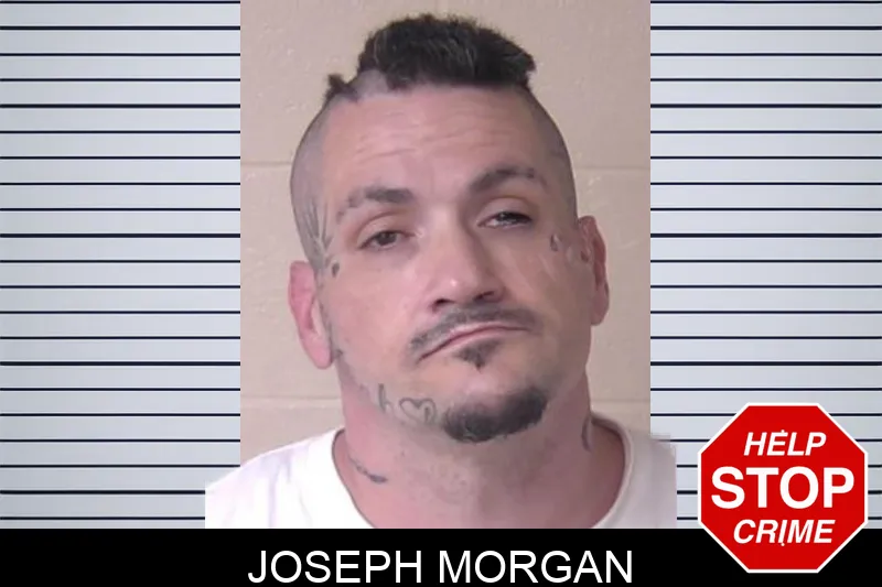 Joseph Morgan Mugshots