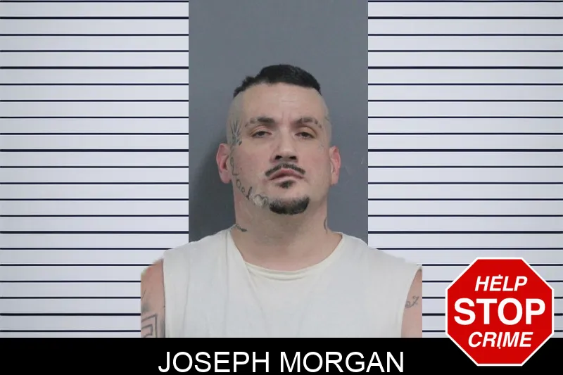 Joseph Morgan Mugshots