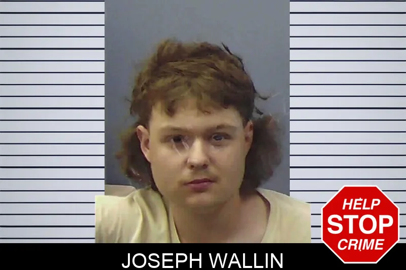 Joseph Wallin
