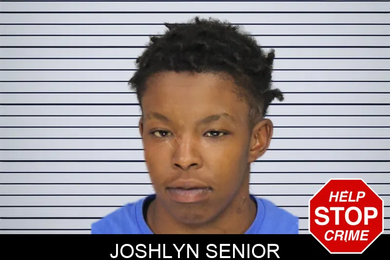 Joshlyn Senior Mugshots
