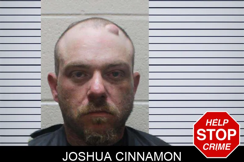 Joshua Cinnamon Mugshots