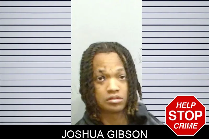 Joshua Gibson mugshot