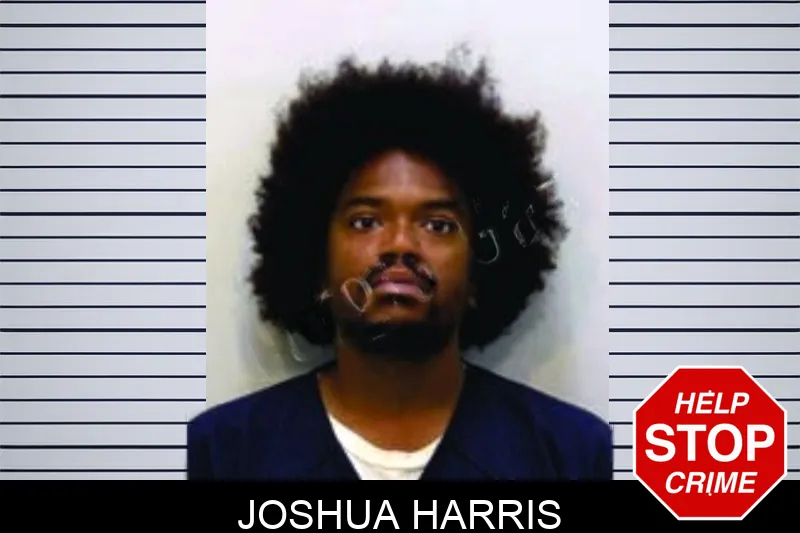 Joshua Harris Mugshots