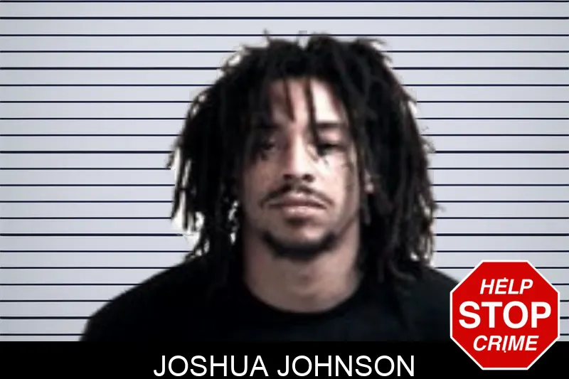 Joshua Johnson Mugshots