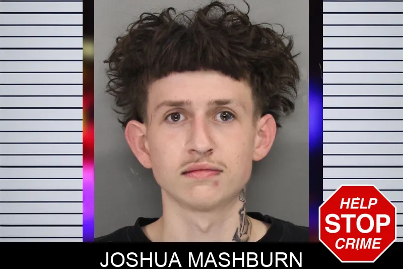 Joshua Mashburn mugshot