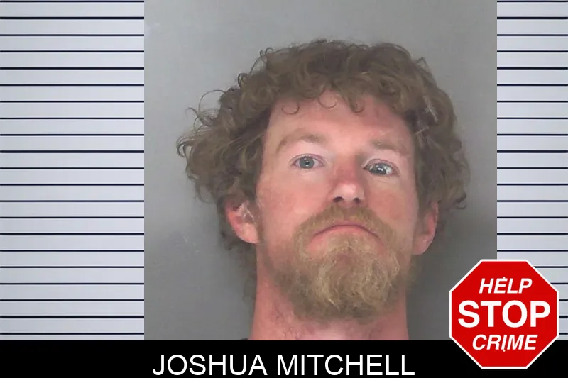 Joshua Mitchell mugshot