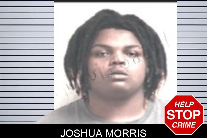 Joshua Morris Mugshots