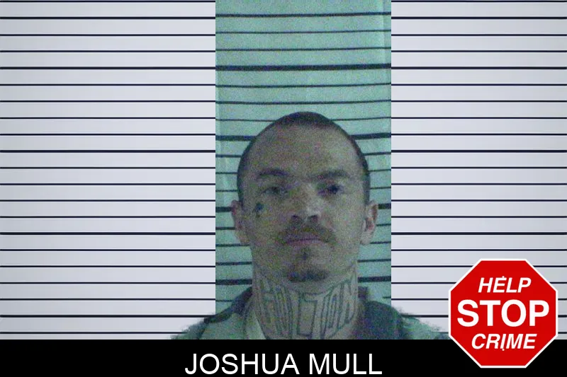 Joshua Mull
