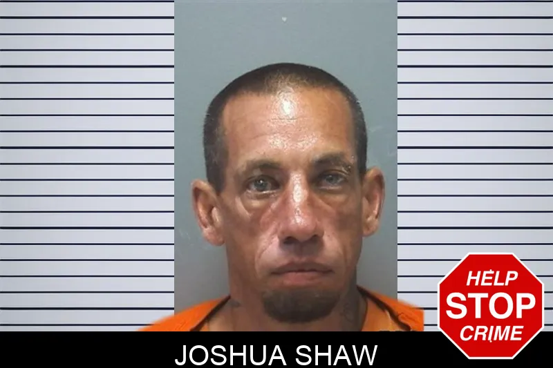 Joshua Shaw Mugshots