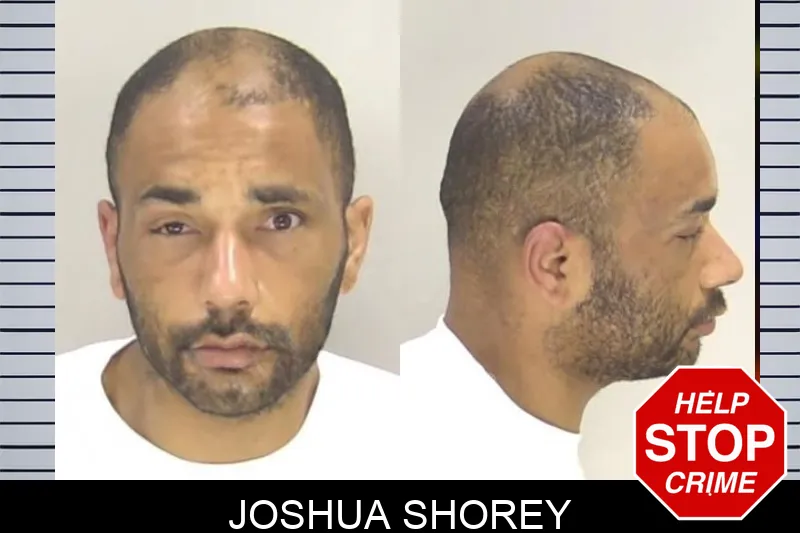 Joshua Shorey Mugshots