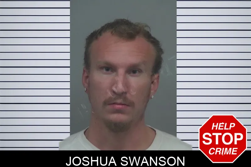 Joshua Swanson mugshot – Gwinnett County , Georgia Joshua Swanson mugshot