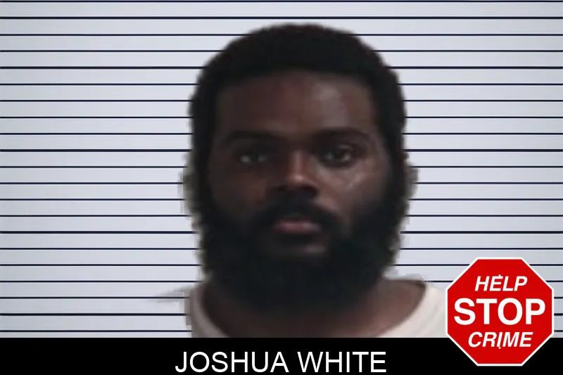 Joshua White Mugshots
