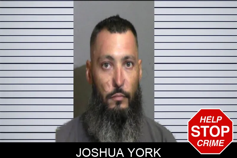 Joshua York
