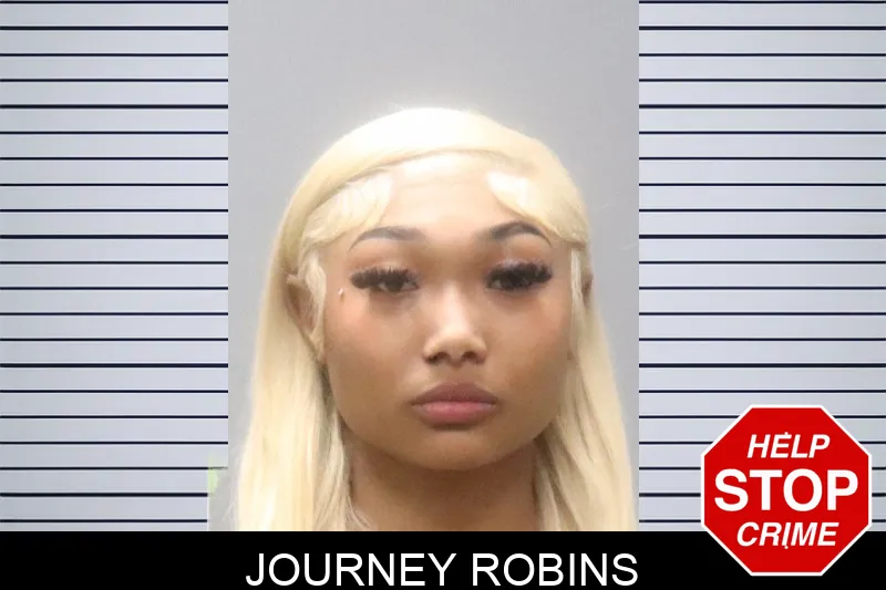 Journey Robins Mugshots