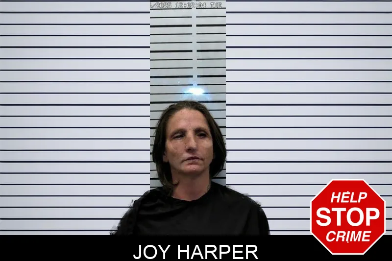 Joy Harper Mugshots