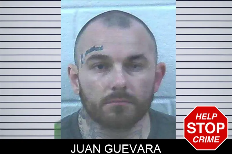 Juan Guevara Mugshots