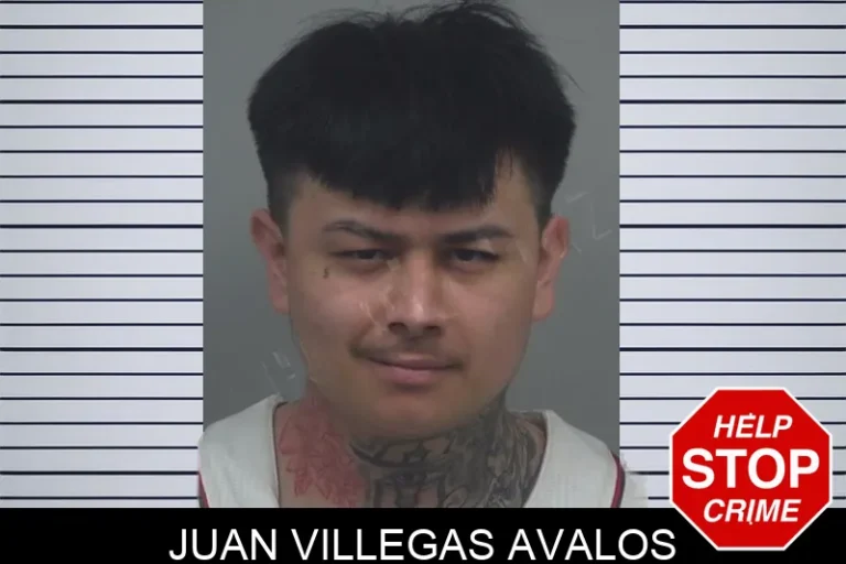 Juan Villegas Avalos