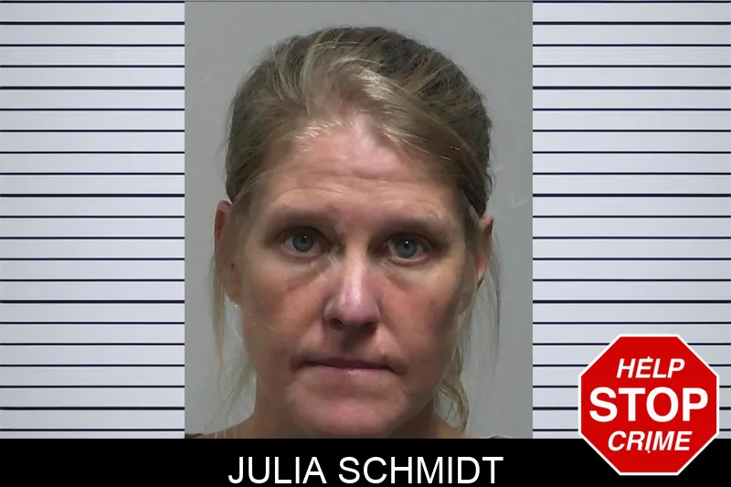 Julia Schmidt Mugshots