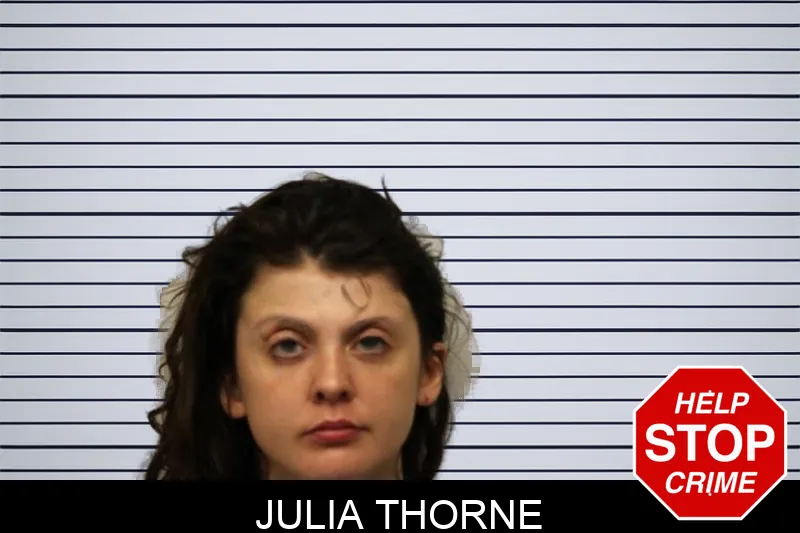 Julia Thorne mugshot – Chatham County , Georgia Julia Thorne mugshot