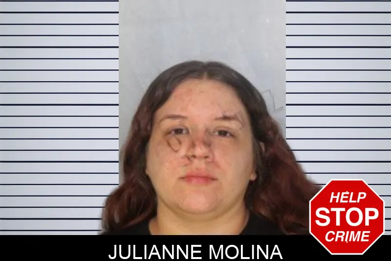 Julianne Molina Mugshots