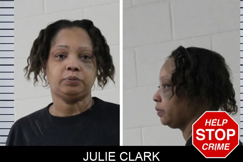 Julie Clark Mugshots