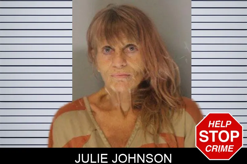 Julie Johnson Mugshots