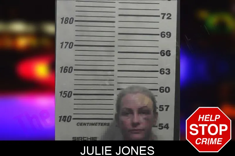 Julie Jones Mugshots