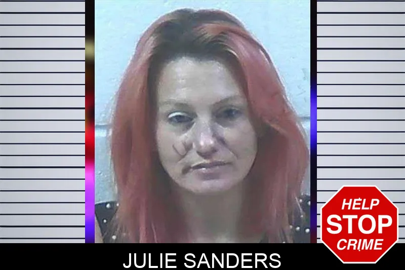 Julie Sanders Mugshots
