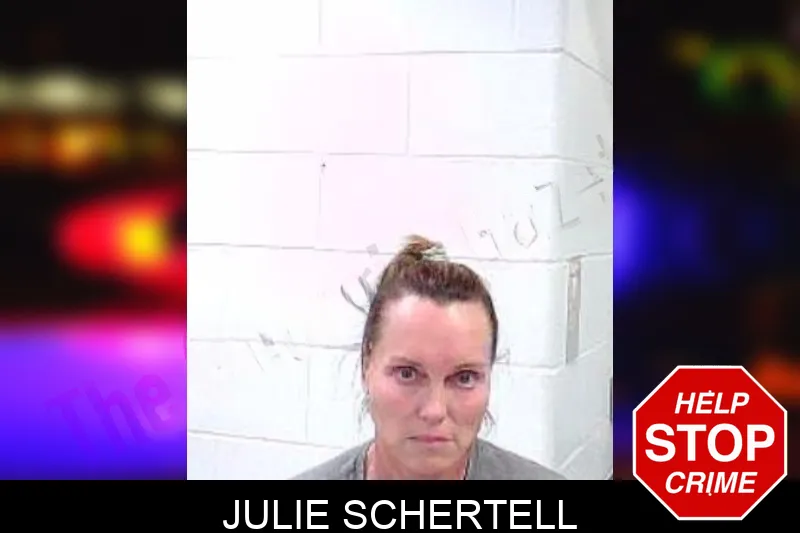 Julie Schertell mugshot – Fulton County , Georgia Julie Schertell mugshot