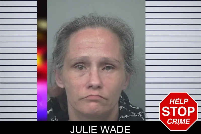 Julie Wade mugshot
