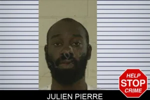 Julien Pierre mugshot