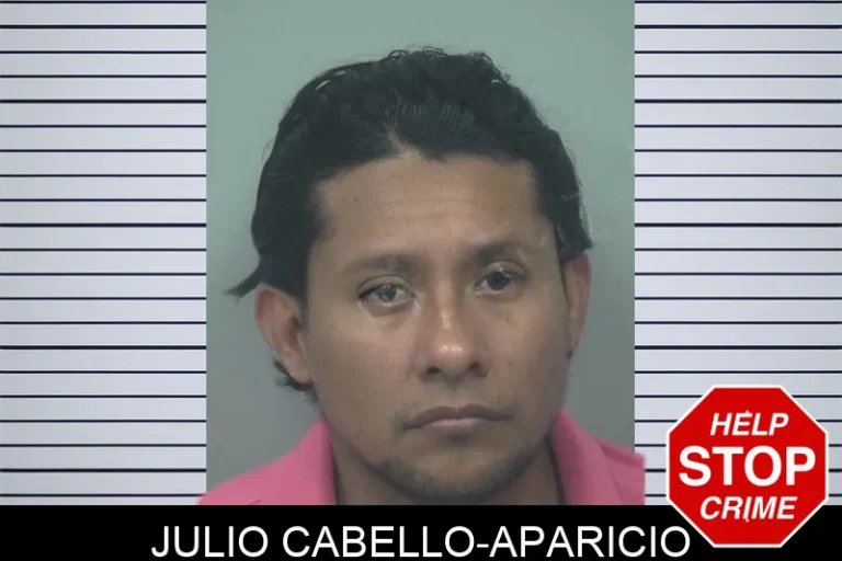 Julio Cabello-Aparicio mugshot – Gwinnett County , Georgia Julio Cabello-Aparicio