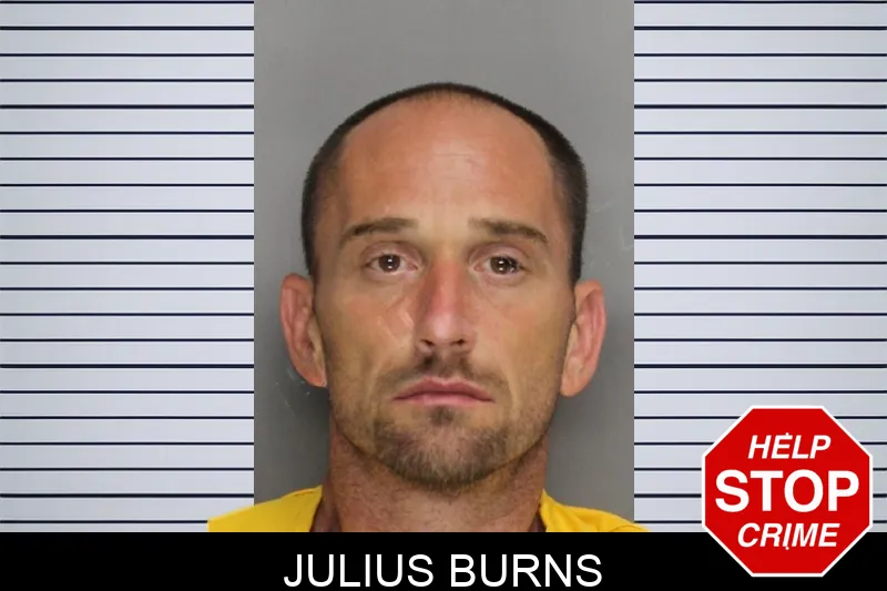 Julius Burns mugshot