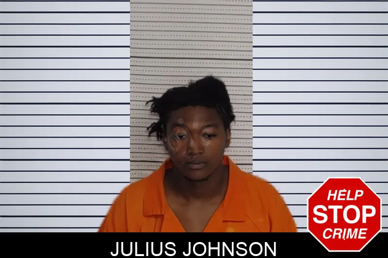 Julius Johnson Mugshots