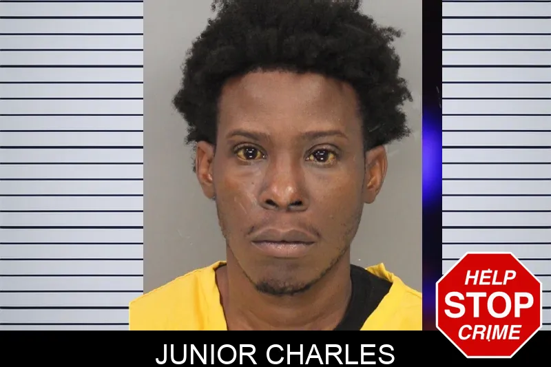 Junior Charles Mugshots