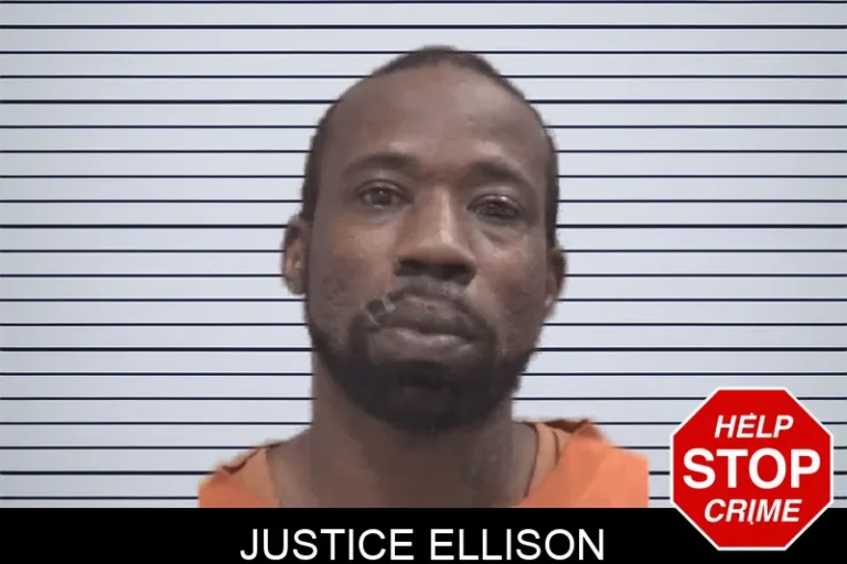 Justice Ellison