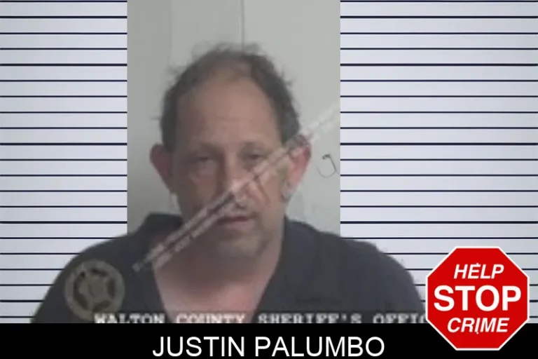Justin Palumbo