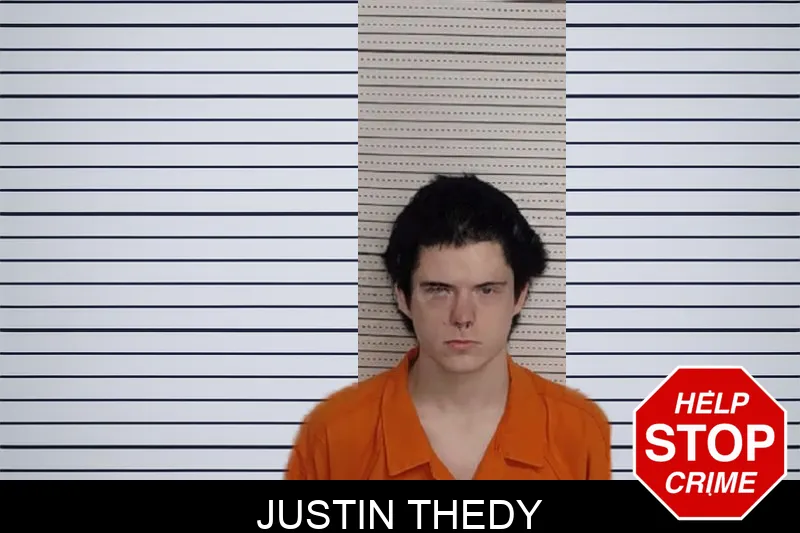 Justin Thedy Mugshots