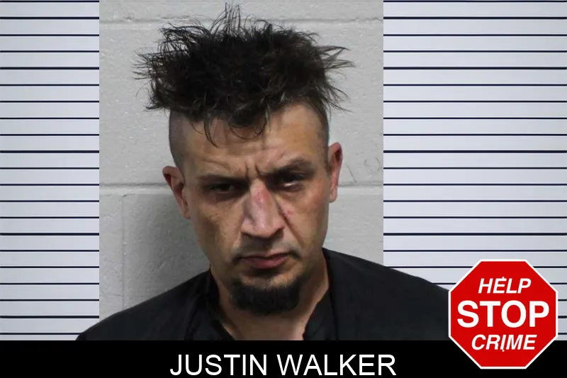 Justin Walker mugshot – Habersham County , Georgia Justin Walker mugshot