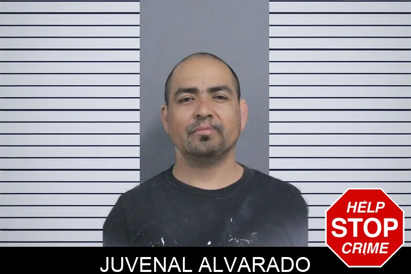 Juvenal Alvarado Mugshots