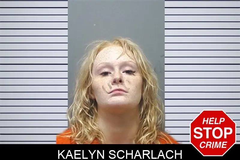 Kaelyn Scharlach Mugshots