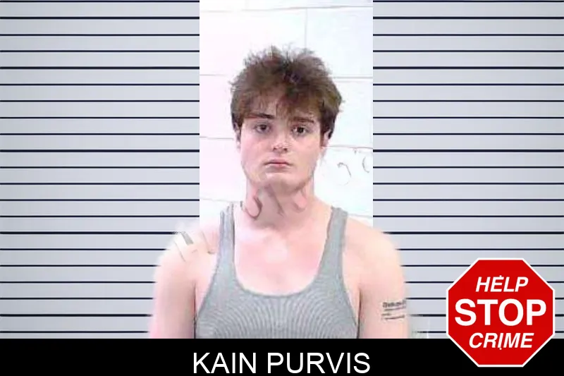 Kain Purvis mugshot – Fulton County , Georgia Kain Purvis mugshot