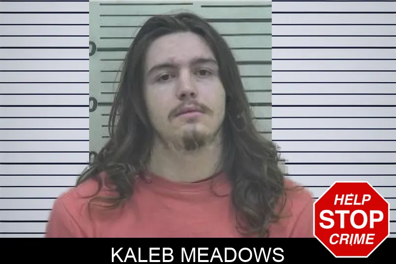 Kaleb Meadows Mugshots