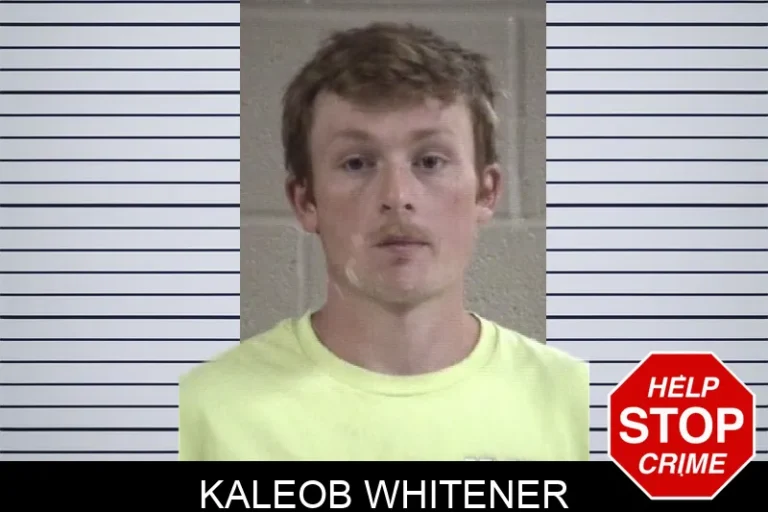 Kaleob Whitener mugshot – Whitfield County , Georgia Kaleob Whitener